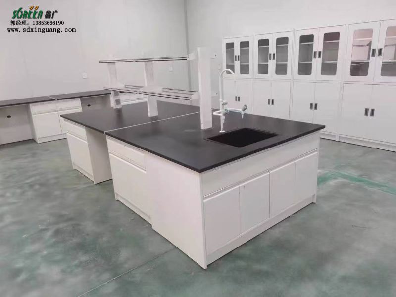 山東全鋼試驗(yàn)臺(tái)、實(shí)驗(yàn)室家具、實(shí)驗(yàn)臺(tái)廠家