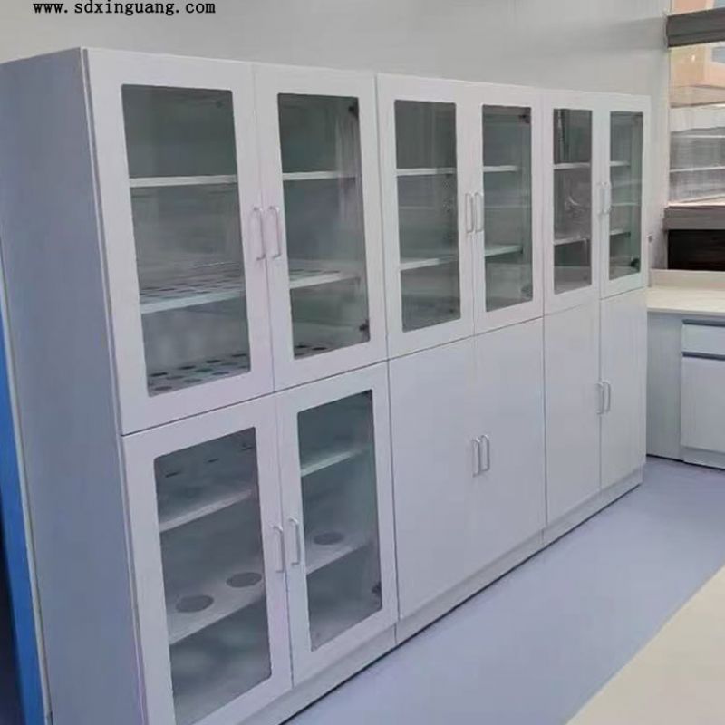 山東全鋼試劑柜實(shí)驗(yàn)室器皿柜試劑柜定做